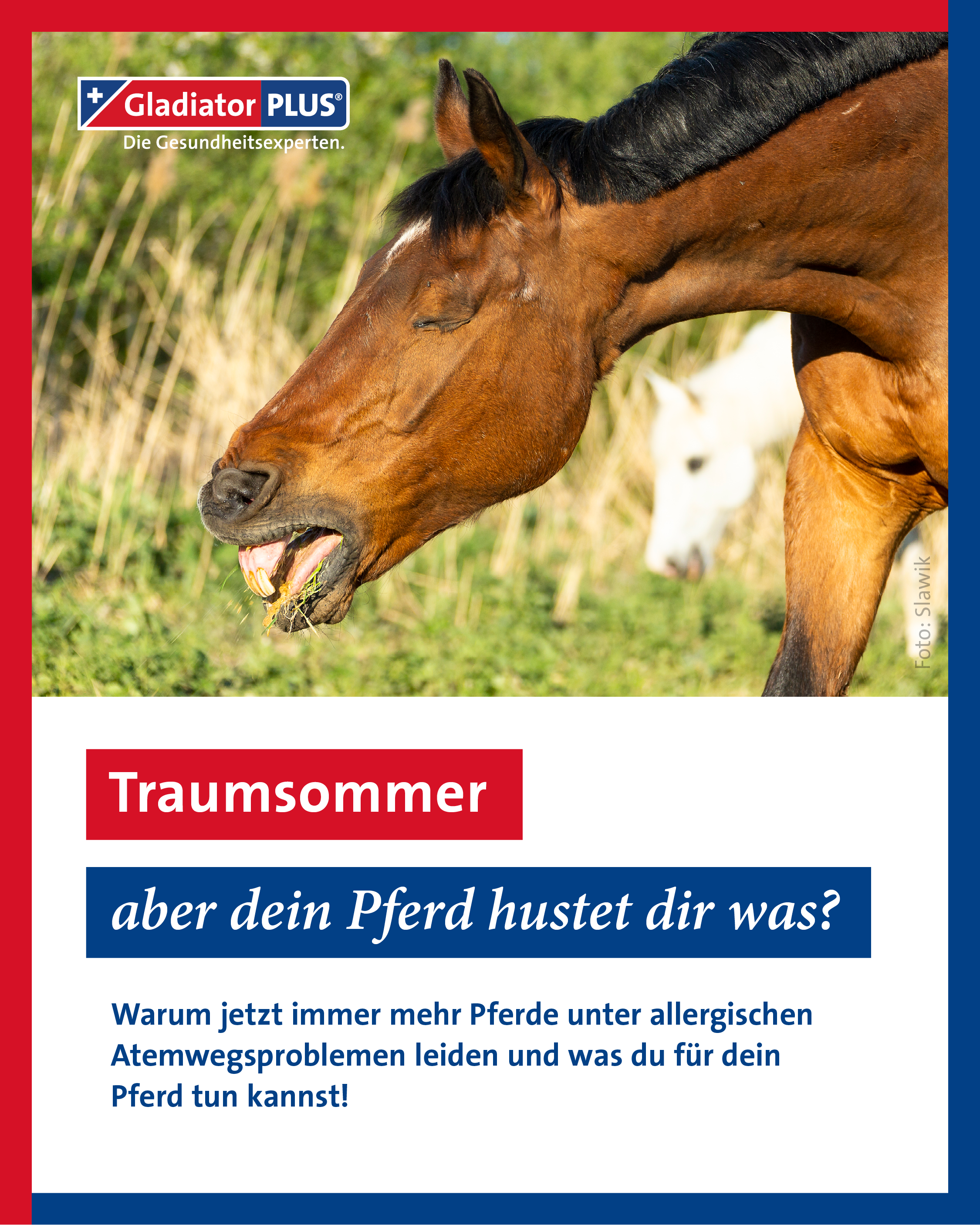 GladiatorPlus - für ein gesundes Körpermillieu!