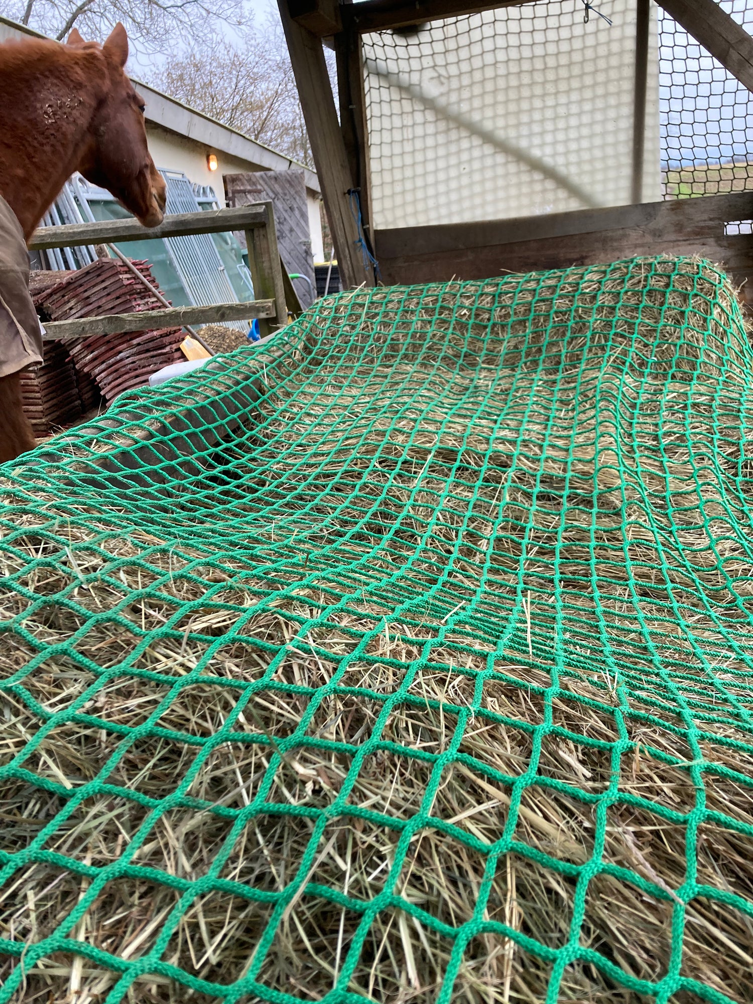 Sonderposten: Futtersparnetz MW 6cm / 3,10 x 0,70 (Nr. 1)